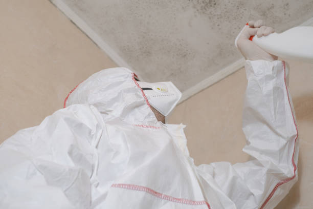 Best Attic Mold Removal  in Kalkaska, MI
